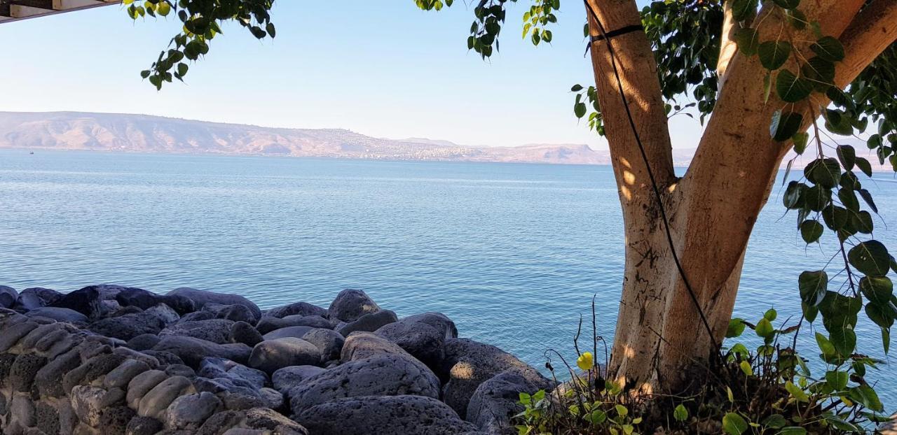 521 * Tiberias